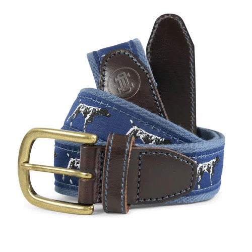 Pointer Ribbon Belt - Blue